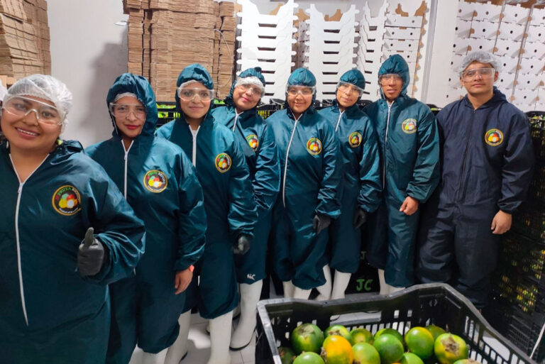 jc-fruta-export-ecuador-who-we-are2